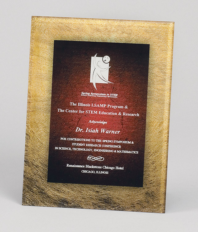 Focus Acrylic Award (PLX801)